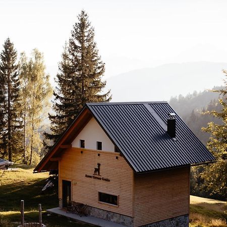 Alpine Cottage Golica 耶塞尼采 外观 照片