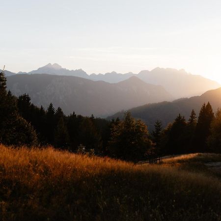 Alpine Cottage Golica 耶塞尼采 外观 照片