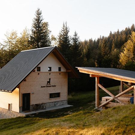 Alpine Cottage Golica 耶塞尼采 外观 照片
