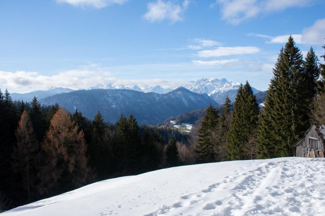 Alpine Cottage Golica 耶塞尼采 外观 照片
