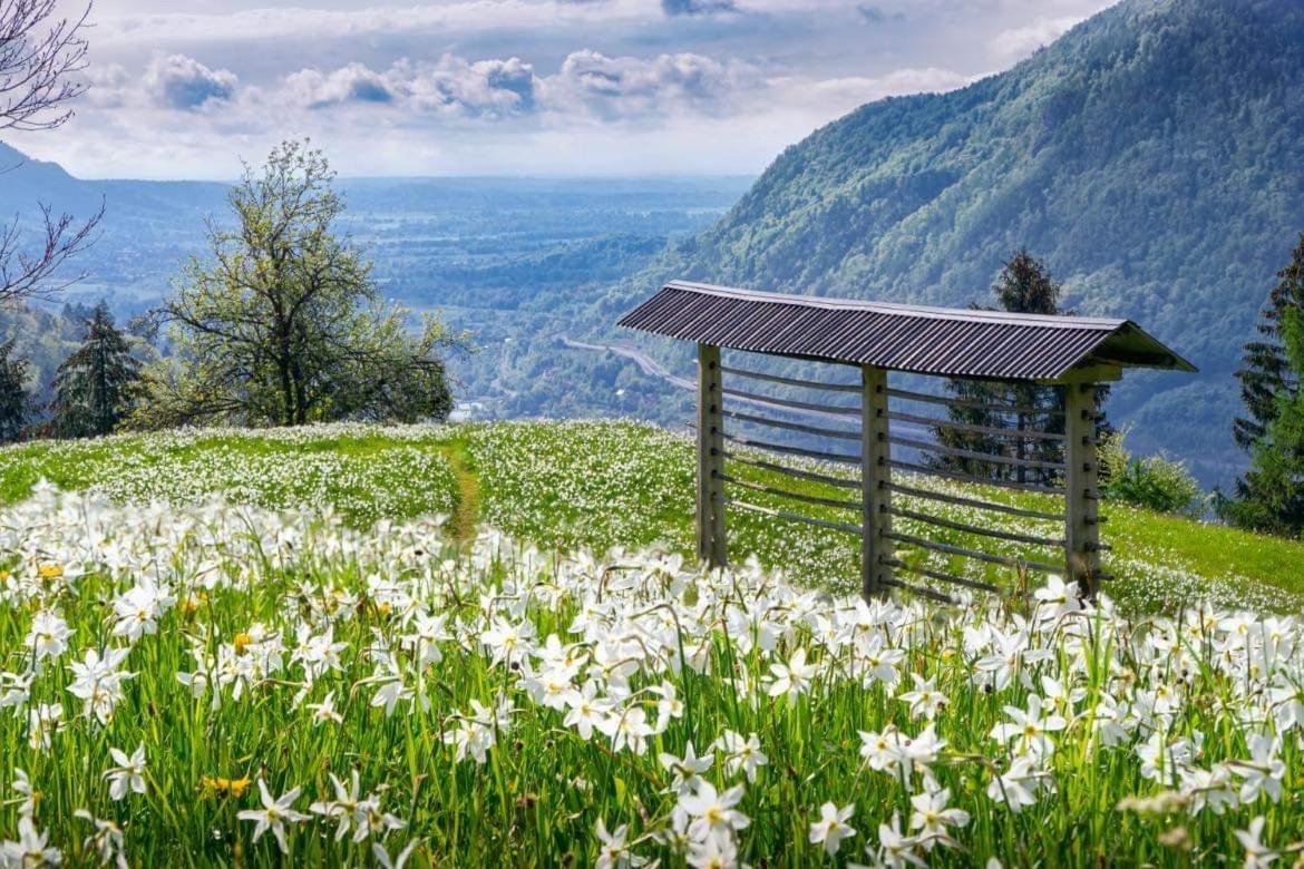 Alpine Cottage Golica 耶塞尼采 外观 照片